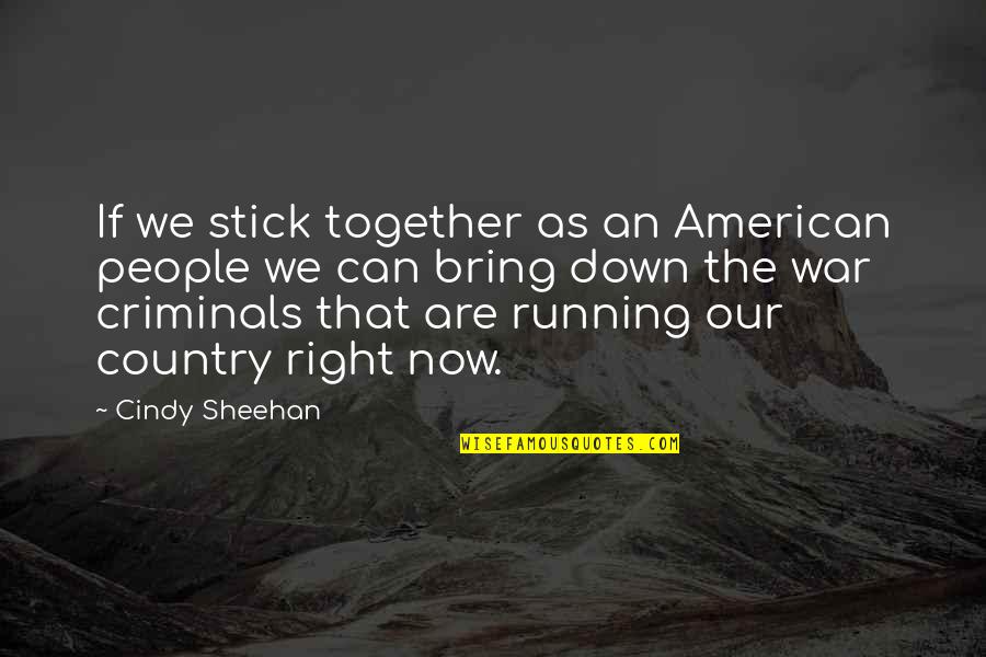 Intolerable Pain Quotes By Cindy Sheehan: If we stick together as an American people