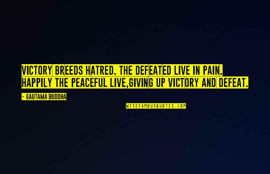 Intramuscularly Quotes By Gautama Buddha: Victory breeds hatred. The defeated live in pain.