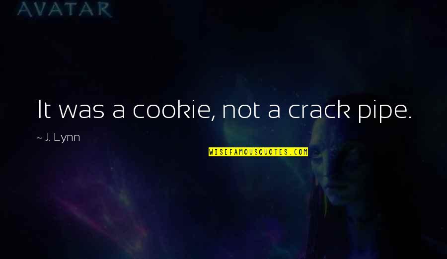 Intriguer Quotes By J. Lynn: It was a cookie, not a crack pipe.