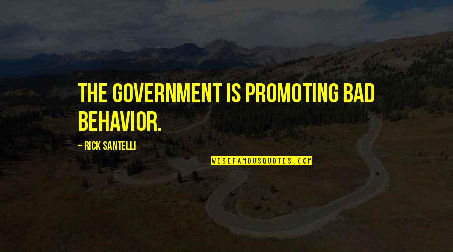 Intrigues Mirage And Sunder Quotes By Rick Santelli: The government is promoting bad behavior.