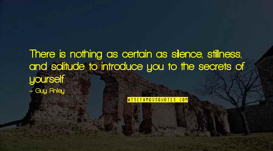 Introduce Yourself Quotes By Guy Finley: There is nothing as certain as silence, stillness,
