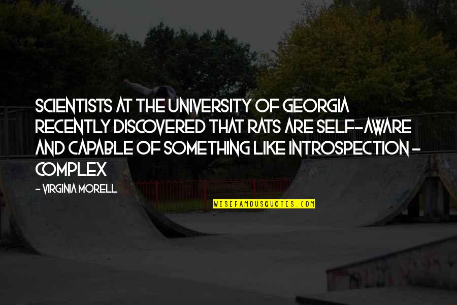 Introspection Quotes By Virginia Morell: Scientists at the University of Georgia recently discovered