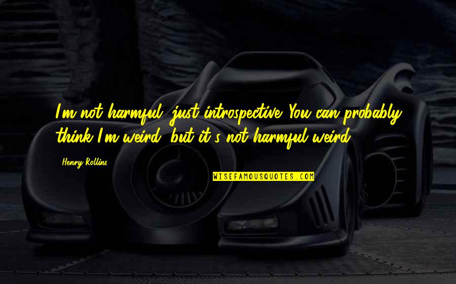 Introspective Quotes By Henry Rollins: I'm not harmful, just introspective. You can probably