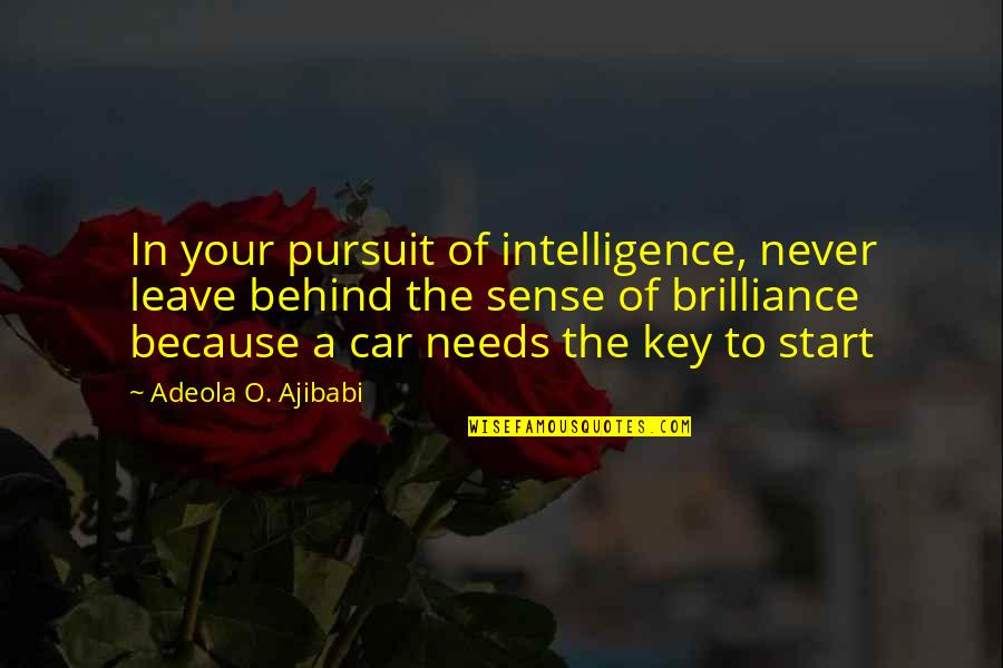 Introversion And Extroversion Quotes By Adeola O. Ajibabi: In your pursuit of intelligence, never leave behind