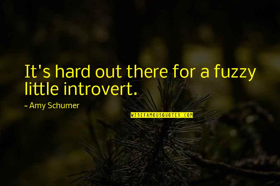 Introvert Quotes By Amy Schumer: It's hard out there for a fuzzy little