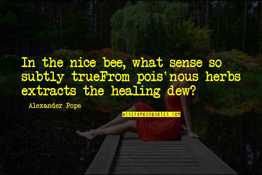 Introvert Relationship Quotes By Alexander Pope: In the nice bee, what sense so subtly