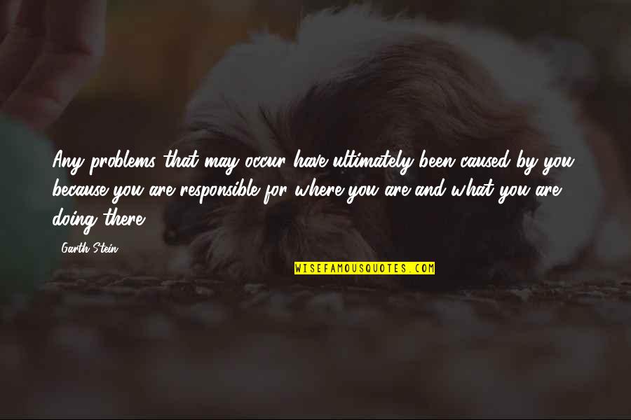 Intruchiparea Raului Quotes By Garth Stein: Any problems that may occur have ultimately been