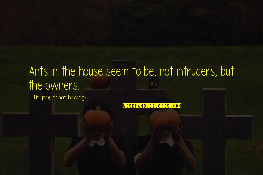 Intruders Quotes By Marjorie Kinnan Rawlings: Ants in the house seem to be, not