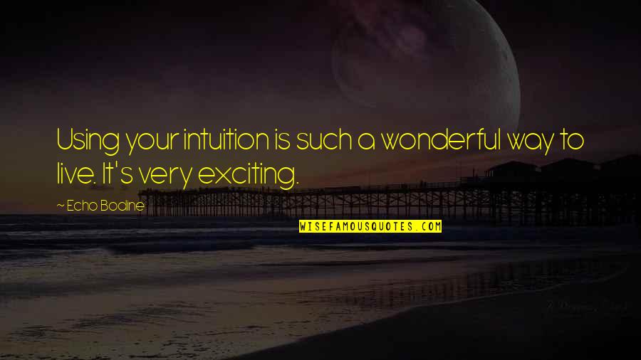 Intuition Quotes By Echo Bodine: Using your intuition is such a wonderful way