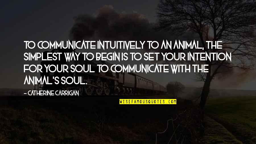 Intuition Quotes Quotes By Catherine Carrigan: To communicate intuitively to an animal, the simplest Intuition Quotes Quotes By Catherine Carrigan: To communicate intuitively to an animal, the simplest