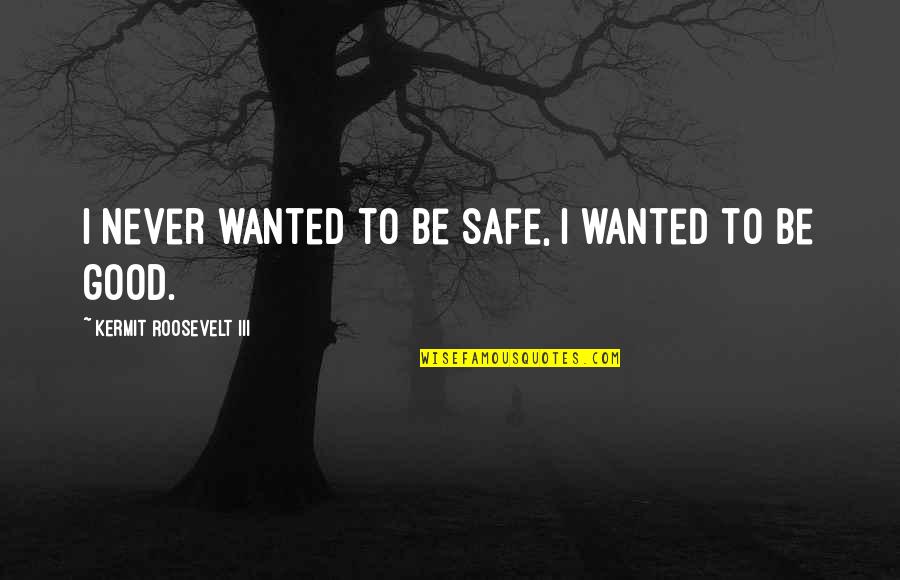 Intuitivni Quotes By Kermit Roosevelt III: I never wanted to be safe, I wanted