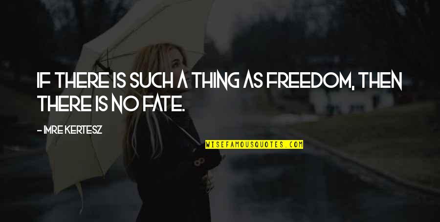 Invado Solutions Quotes By Imre Kertesz: If there is such a thing as freedom, Invado Solutions Quotes By Imre Kertesz: If there is such a thing as freedom,