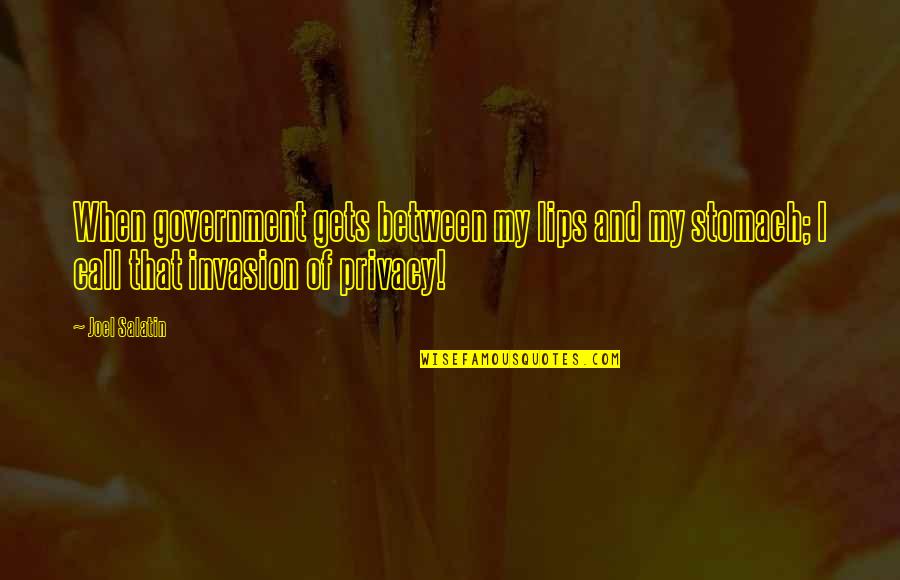 Invasion Of Privacy Quotes By Joel Salatin: When government gets between my lips and my