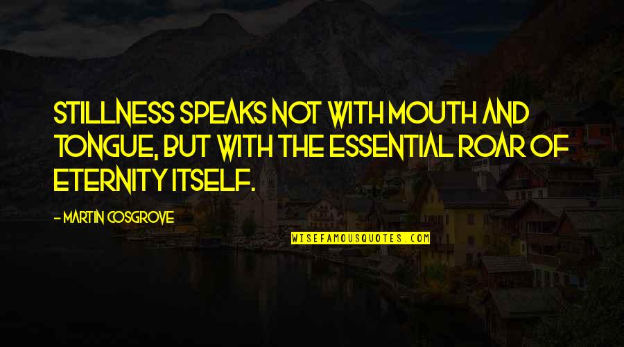 Inveigled Define Quotes By Martin Cosgrove: Stillness speaks not with mouth and tongue, but