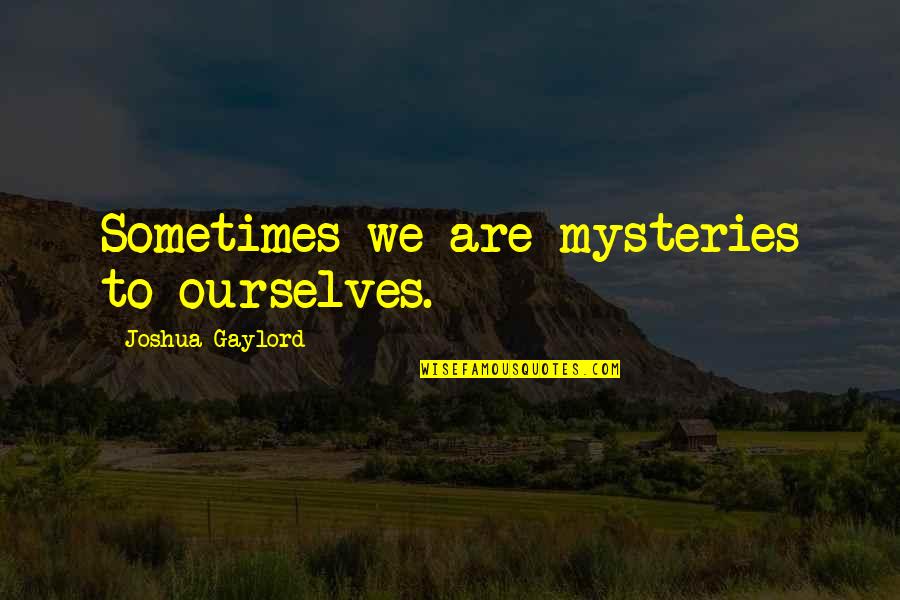 Invejoso Em Quotes By Joshua Gaylord: Sometimes we are mysteries to ourselves.