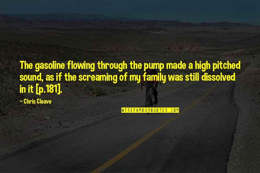 Investin Quotes By Chris Cleave: The gasoline flowing through the pump made a