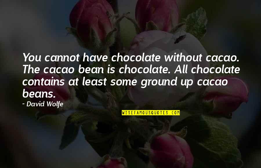 Investing In The Next Generation Quotes By David Wolfe: You cannot have chocolate without cacao. The cacao