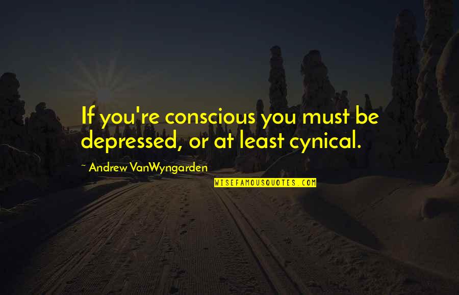Invincible Youth Season 1 Quotes By Andrew VanWyngarden: If you're conscious you must be depressed, or