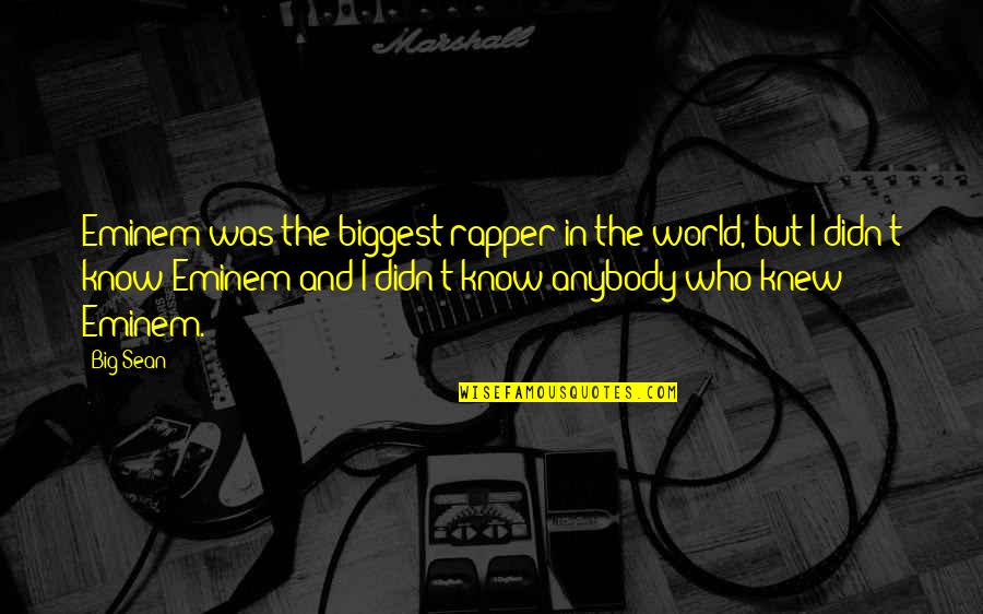 Invisible Man Invisibility Quotes By Big Sean: Eminem was the biggest rapper in the world,