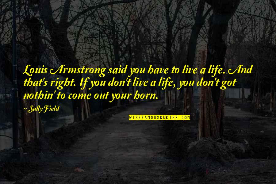 Invista Orange Quotes By Sally Field: Louis Armstrong said you have to live a