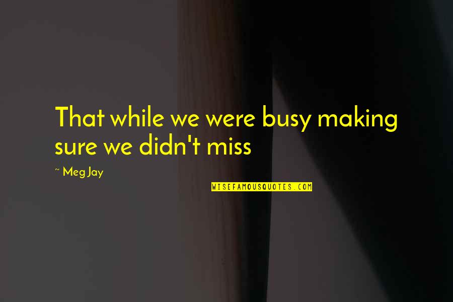 Involvements Quotes By Meg Jay: That while we were busy making sure we