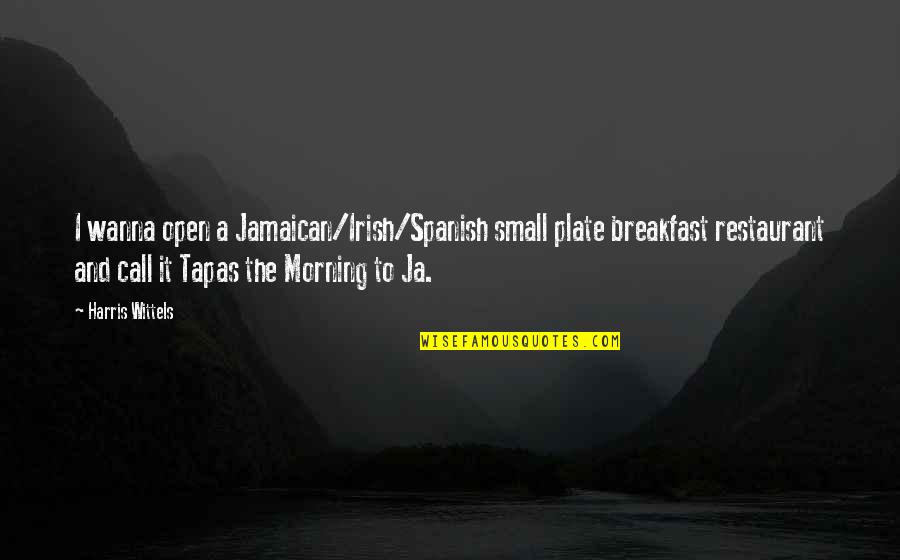 Inxs Greatest Quotes By Harris Wittels: I wanna open a Jamaican/Irish/Spanish small plate breakfast
