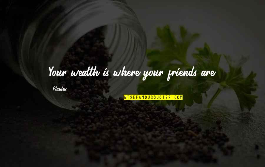 Io Sono Li Quotes By Plautus: Your wealth is where your friends are.