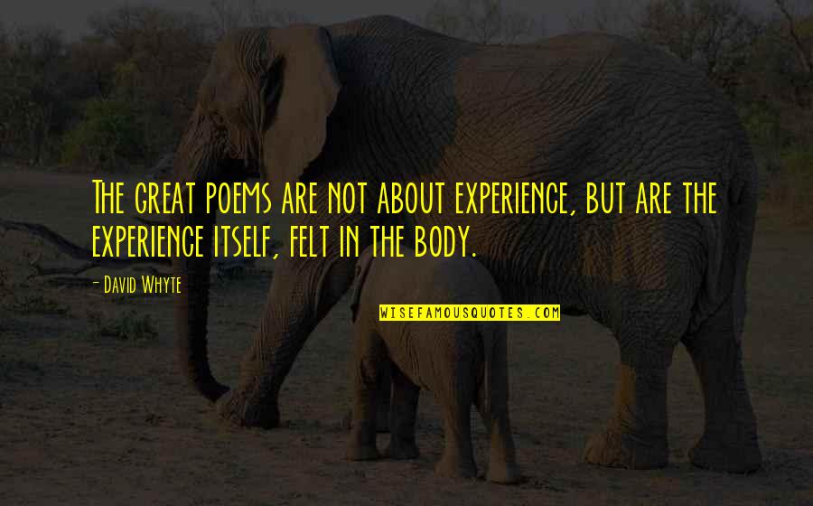 Ionas Kirksville Quotes By David Whyte: The great poems are not about experience, but Ionas Kirksville Quotes By David Whyte: The great poems are not about experience, but
