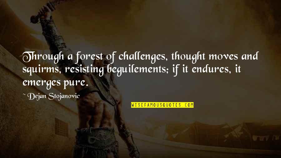 Ionut Cristache Quotes By Dejan Stojanovic: Through a forest of challenges, thought moves and