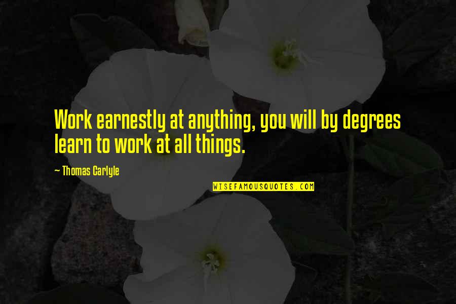 Iordache Branzovenescu Quotes By Thomas Carlyle: Work earnestly at anything, you will by degrees