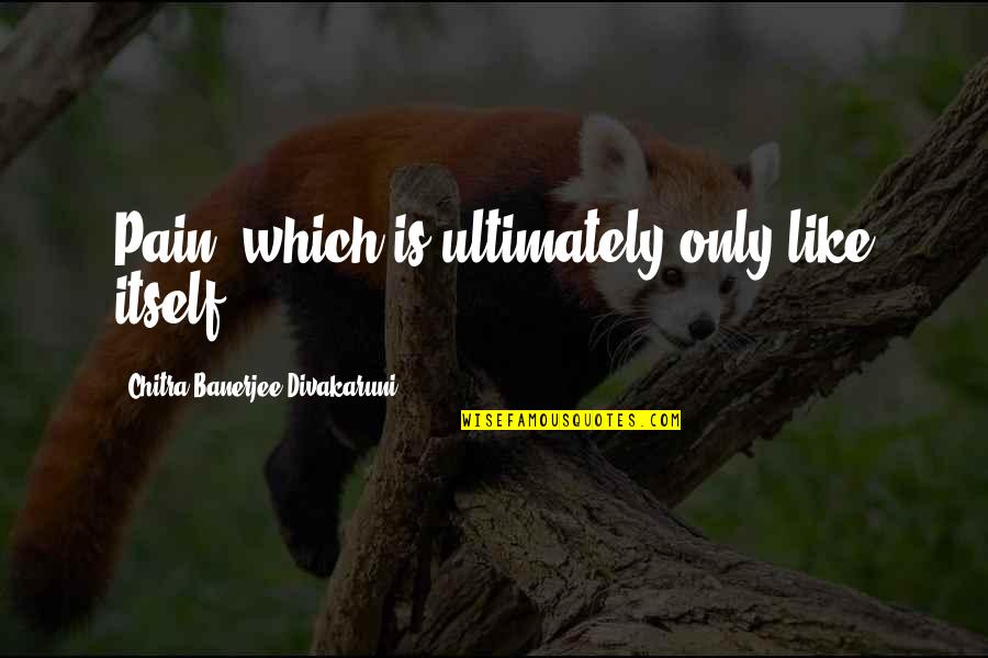 Iordanescu Bruno Quotes By Chitra Banerjee Divakaruni: Pain, which is ultimately only like itself. Iordanescu Bruno Quotes By Chitra Banerjee Divakaruni: Pain, which is ultimately only like itself.