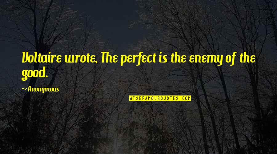 Iordanidou Mina Quotes By Anonymous: Voltaire wrote, The perfect is the enemy of