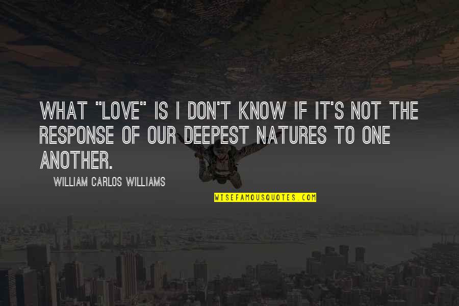 Ipad Great Tool In Kitchen Quotes By William Carlos Williams: What "love" is I don't know if it's Ipad Great Tool In Kitchen Quotes By William Carlos Williams: What "love" is I don't know if it's