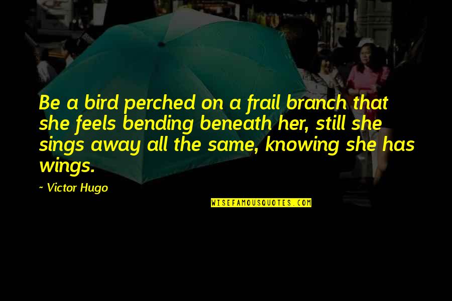 Ipolate Quotes By Victor Hugo: Be a bird perched on a frail branch