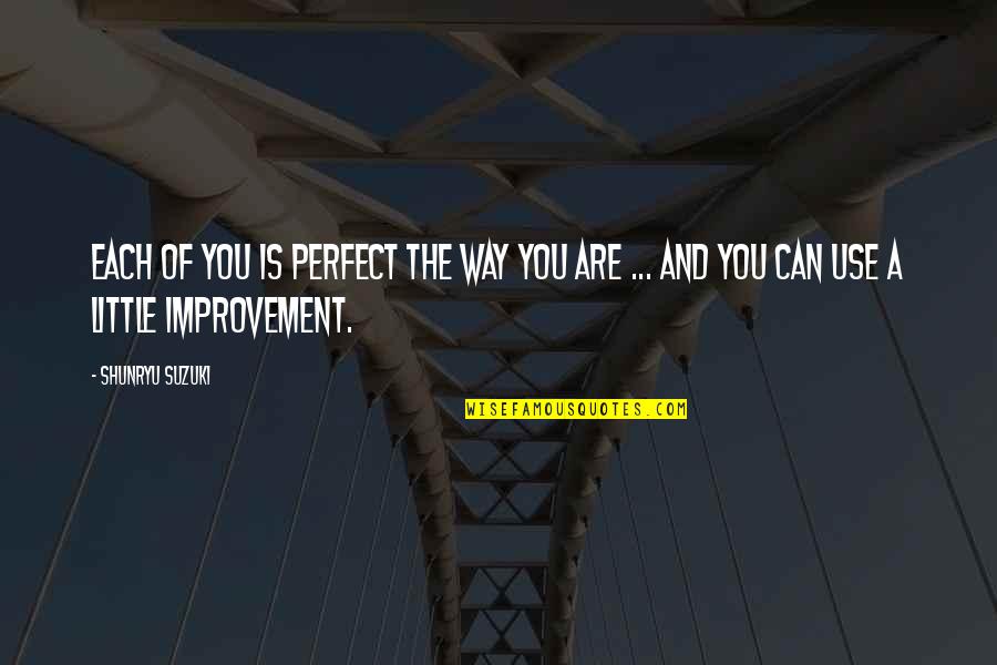 Ipos 2020 Quotes By Shunryu Suzuki: Each of you is perfect the way you
