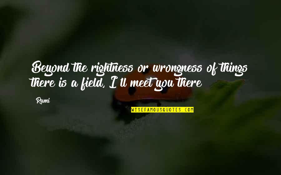 Ipsilateral Rotation Quotes By Rumi: Beyond the rightness or wrongness of things there