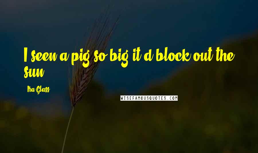 Ira Glass quotes: I seen a pig so big it'd block out the sun.