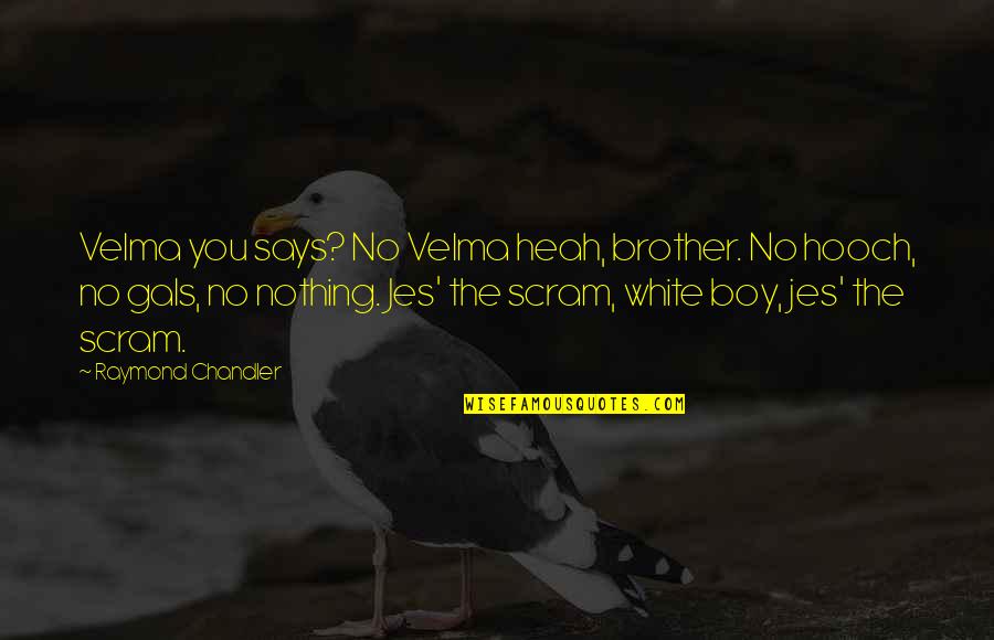 Iraida Palmieri Quotes By Raymond Chandler: Velma you says? No Velma heah, brother. No Iraida Palmieri Quotes By Raymond Chandler: Velma you says? No Velma heah, brother. No