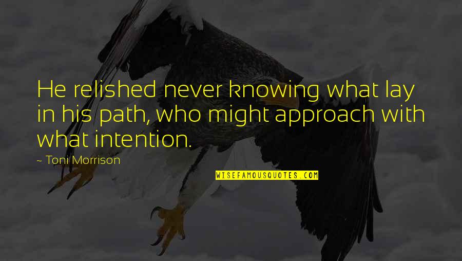 Iran Iraq War Quotes By Toni Morrison: He relished never knowing what lay in his
