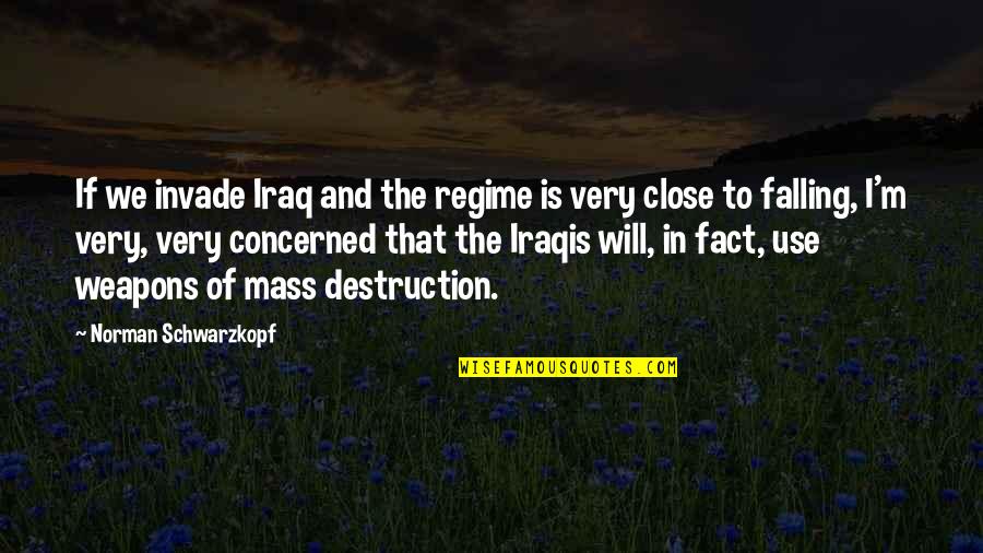 Iraqis Quotes By Norman Schwarzkopf: If we invade Iraq and the regime is