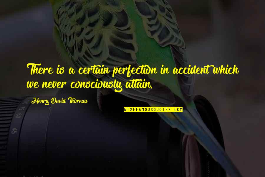 Irate Black Man Quotes By Henry David Thoreau: There is a certain perfection in accident which