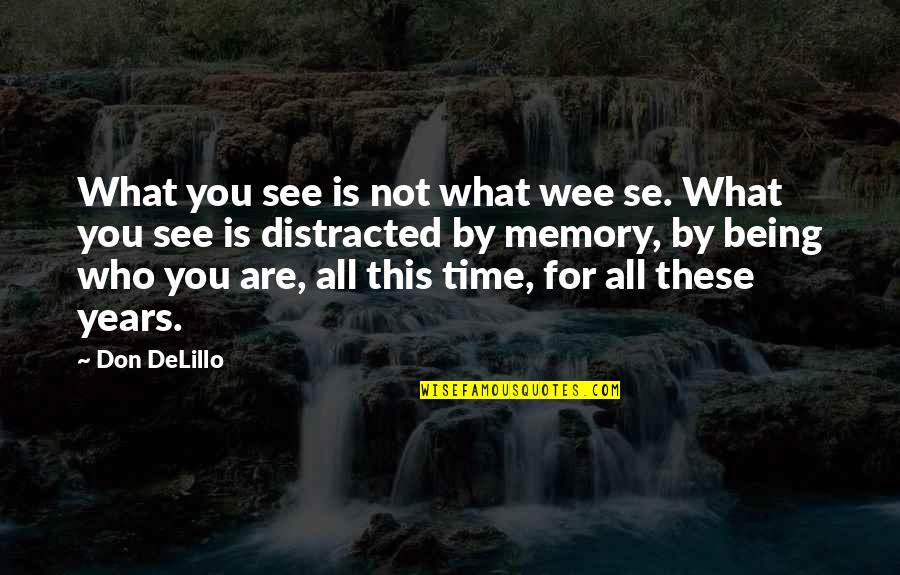 Ired Quotes By Don DeLillo: What you see is not what wee se.