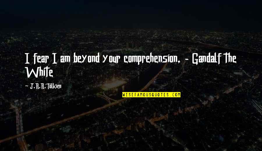 Ireene Wicker Quotes By J.R.R. Tolkien: I fear I am beyond your comprehension. - Ireene Wicker Quotes By J.R.R. Tolkien: I fear I am beyond your comprehension. -