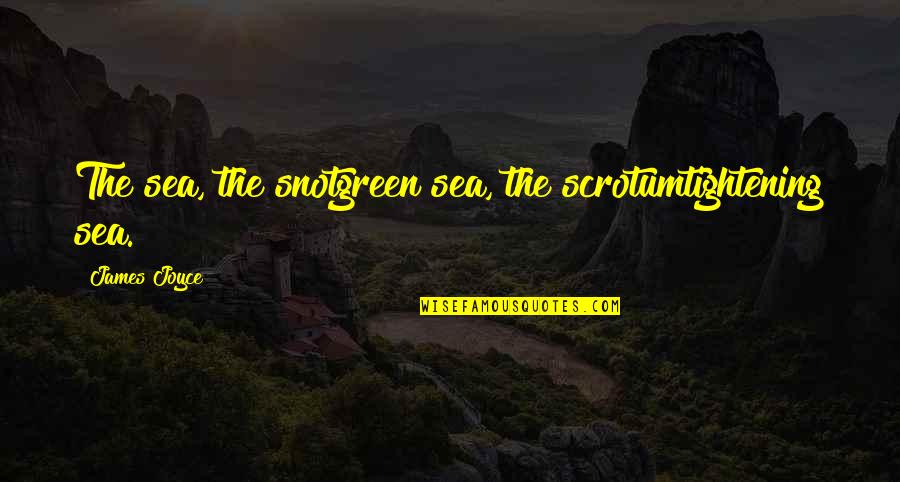 Ireland In Irish Quotes By James Joyce: The sea, the snotgreen sea, the scrotumtightening sea.