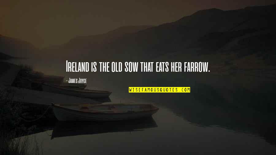 Ireland James Joyce Quotes By James Joyce: Ireland is the old sow that eats her Ireland James Joyce Quotes By James Joyce: Ireland is the old sow that eats her