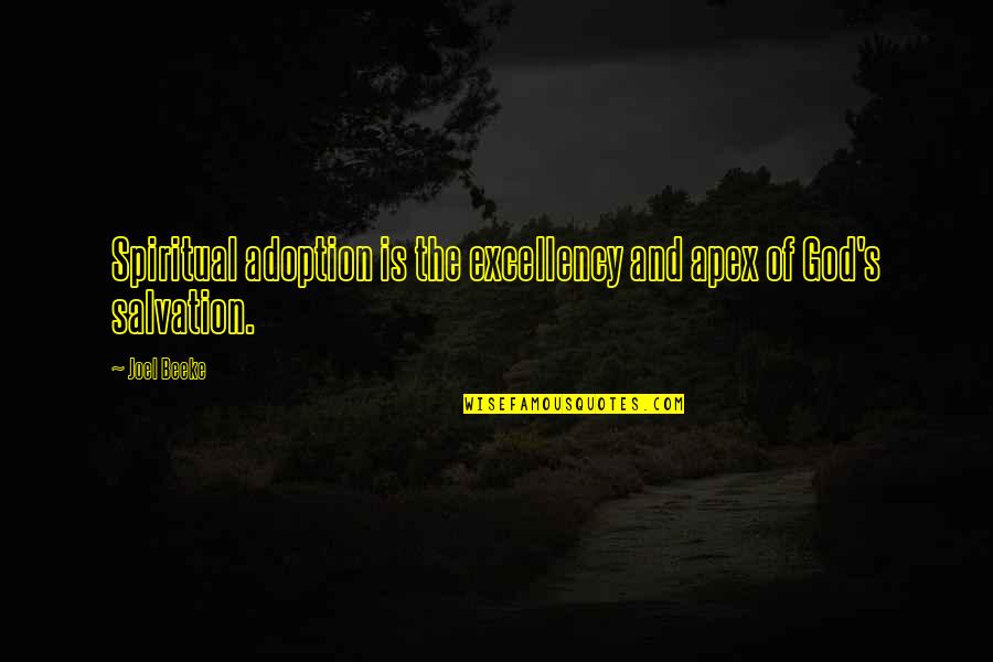 Irene Mccormack Quotes By Joel Beeke: Spiritual adoption is the excellency and apex of