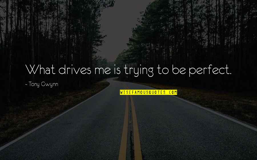 Irguitarlessons Quotes By Tony Gwynn: What drives me is trying to be perfect. Irguitarlessons Quotes By Tony Gwynn: What drives me is trying to be perfect.