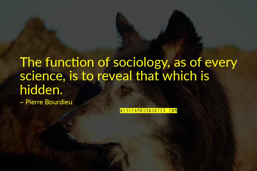 Irial Wicked Lovely Quotes By Pierre Bourdieu: The function of sociology, as of every science,