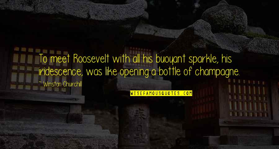 Iridescence Quotes By Winston Churchill: To meet Roosevelt with all his buoyant sparkle,