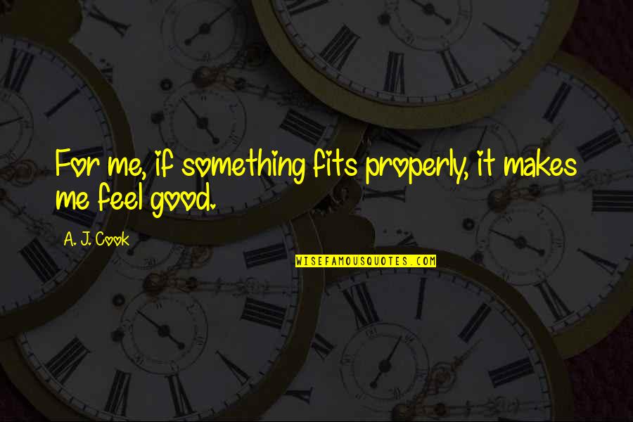 Irimia Stelian Quotes By A. J. Cook: For me, if something fits properly, it makes